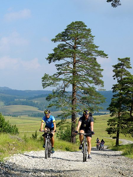 01 karusel zlatibor