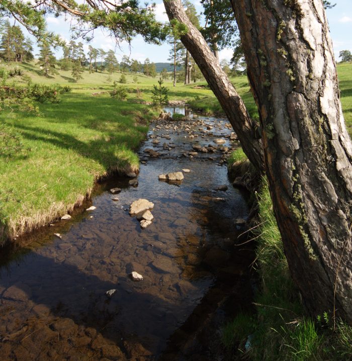 02 program i učesnici zlatibor